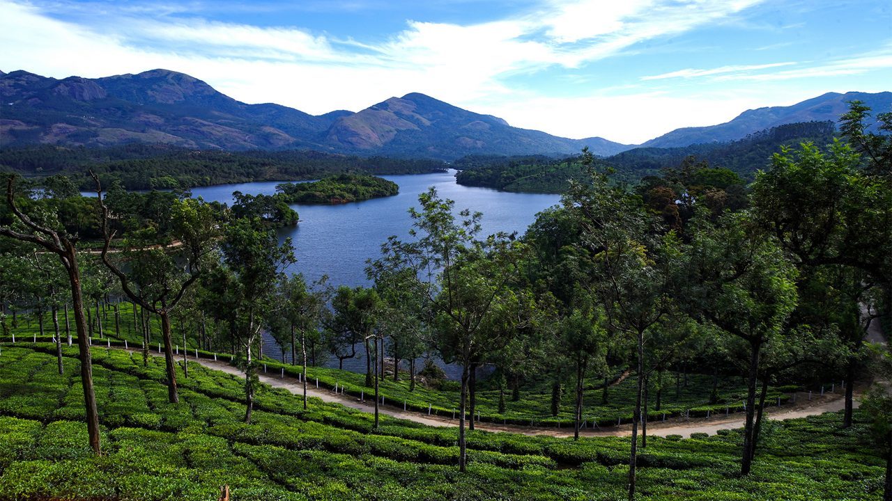 Tea slopes, lake and hills of India's Western Ghats hill country